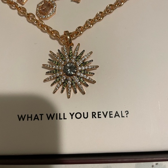 Brand New BP Necklace Luxe Layer - Picture 2 of 4